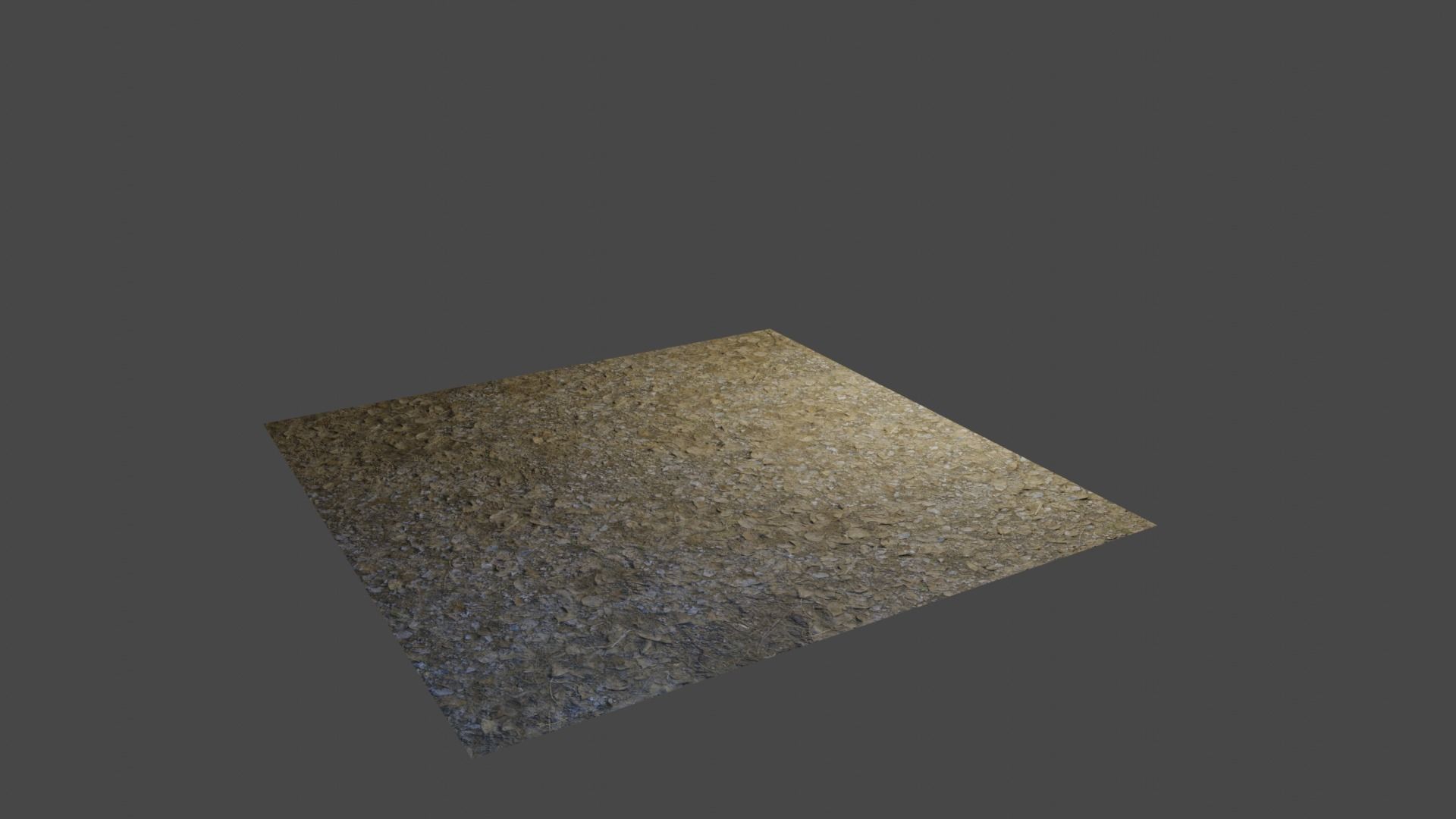 Forest Floor 4K Texture_1