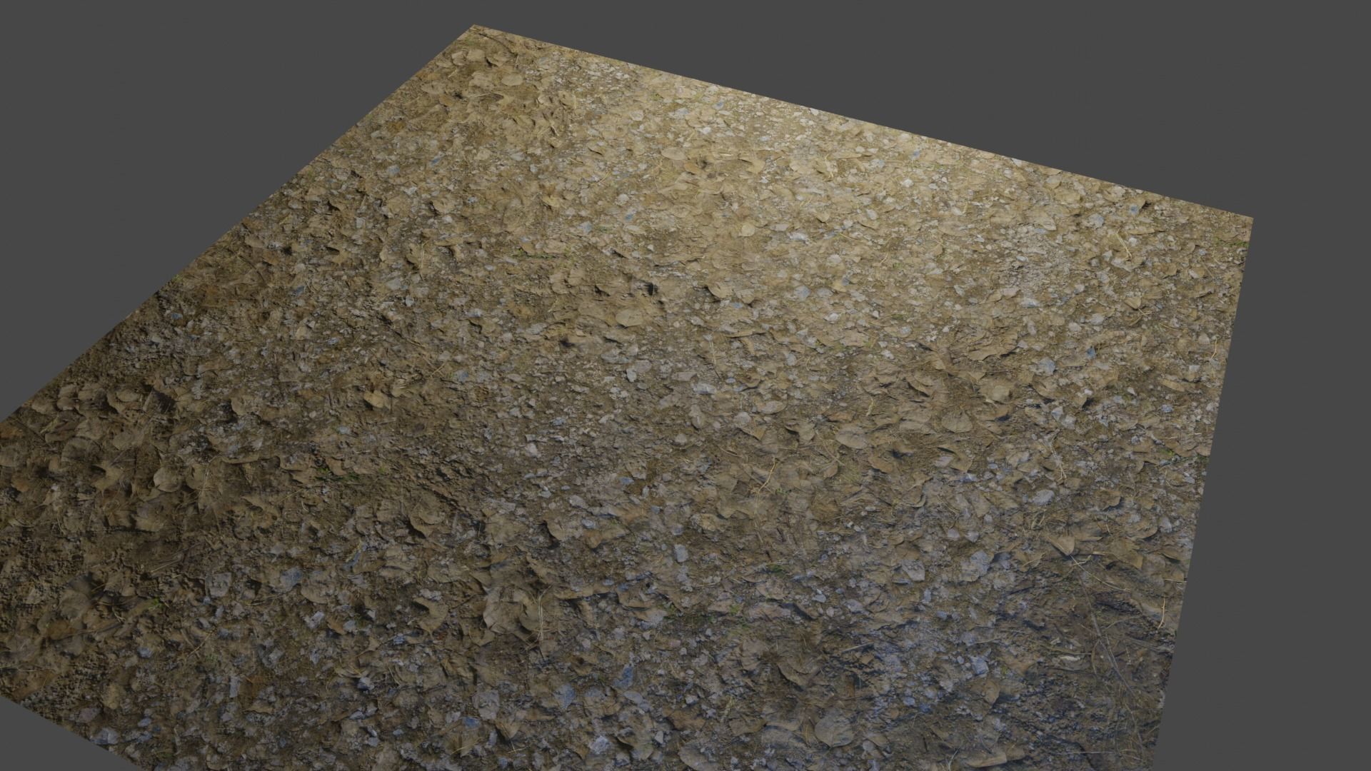 Forest Floor 4K Texture_2