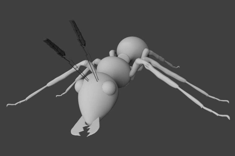 Ant 3D model Low-poly 3D model_1