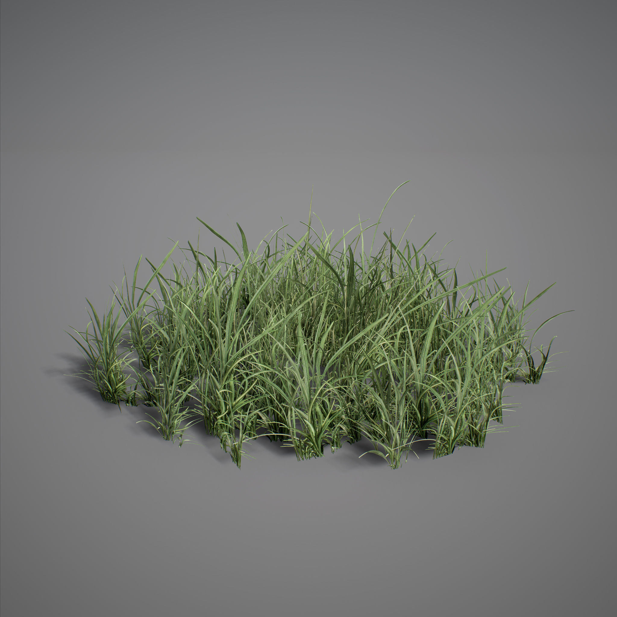UE4 - Forest Foliage Low-poly 3D model_1