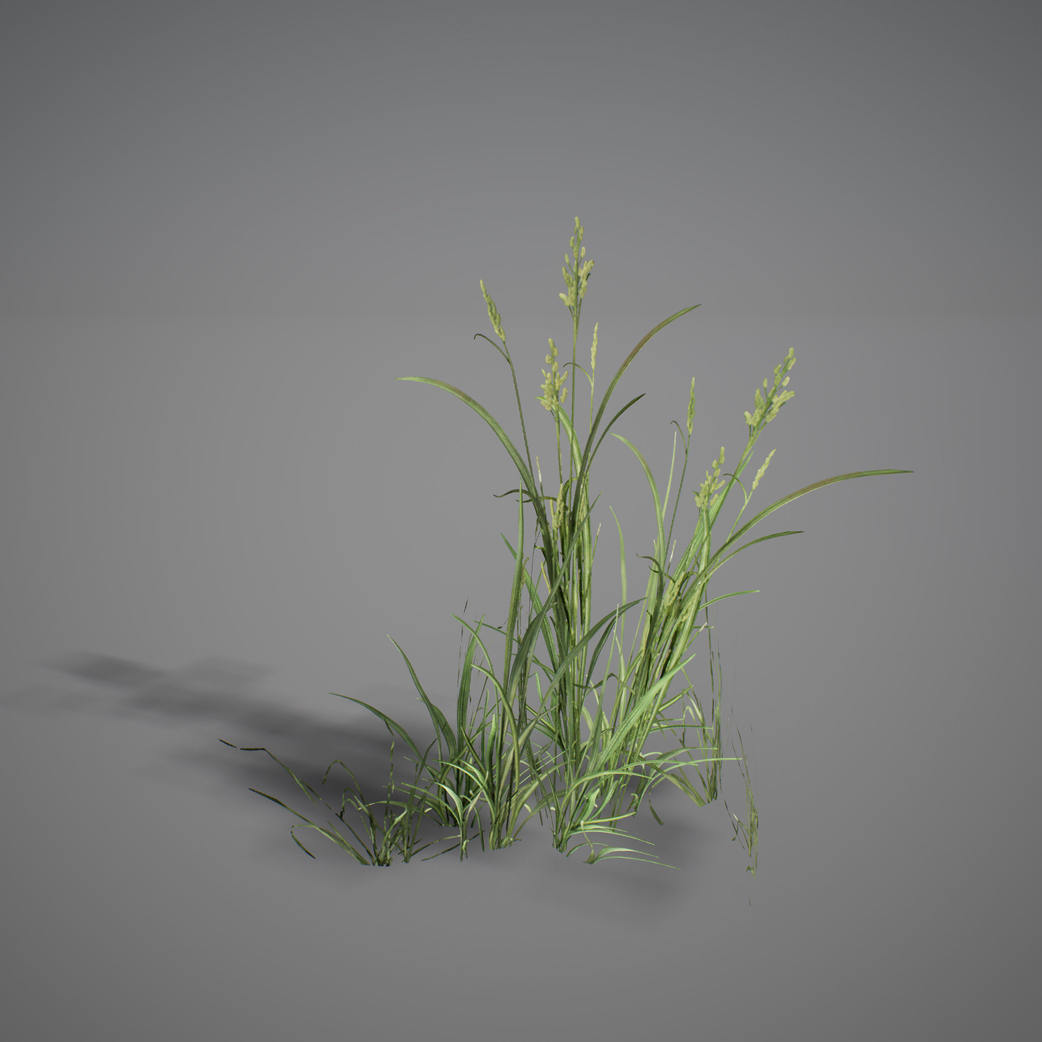 UE4 - Forest Foliage Low-poly 3D model_13
