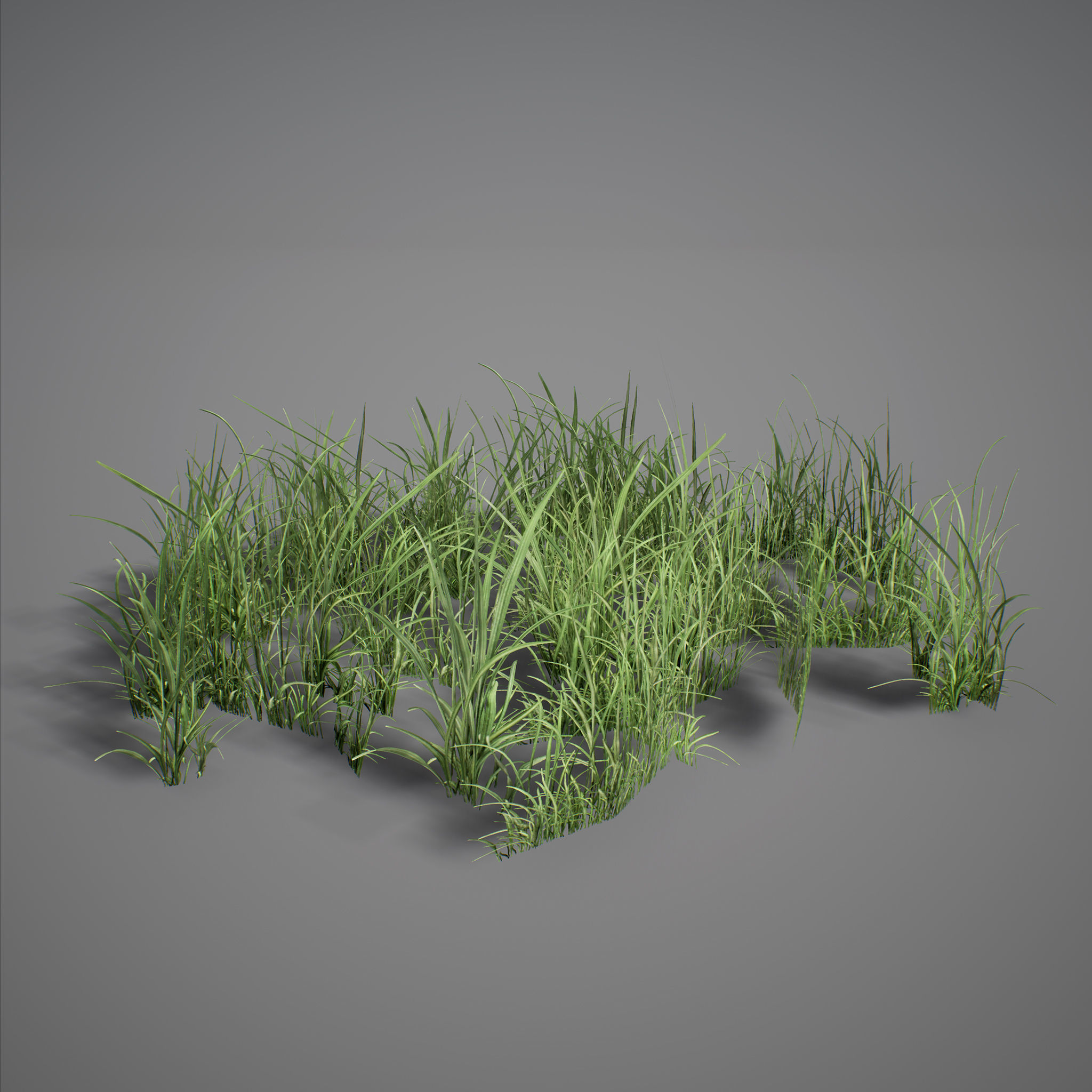 UE4 - Forest Foliage Low-poly 3D model_7