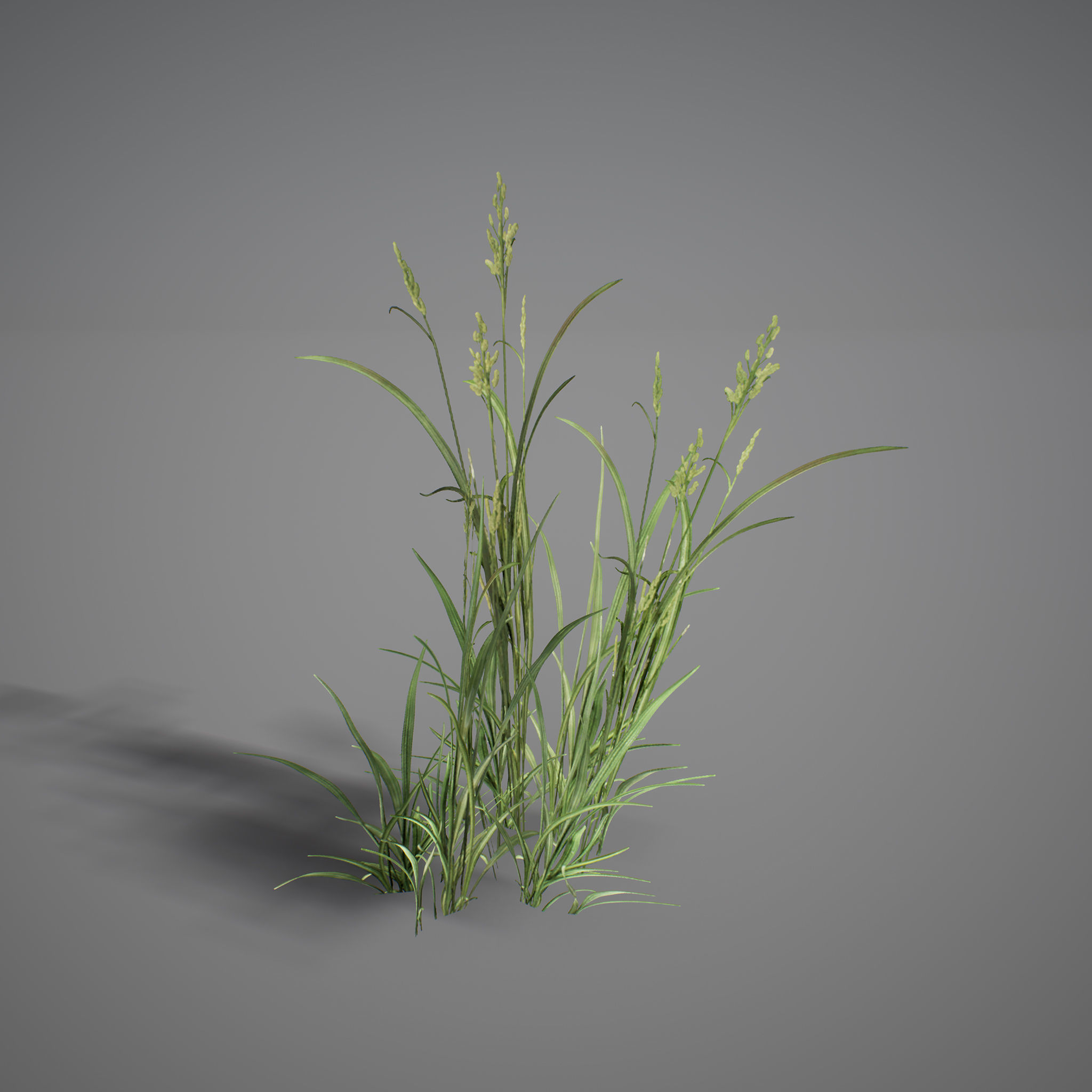 UE4 - Forest Foliage Low-poly 3D model_12