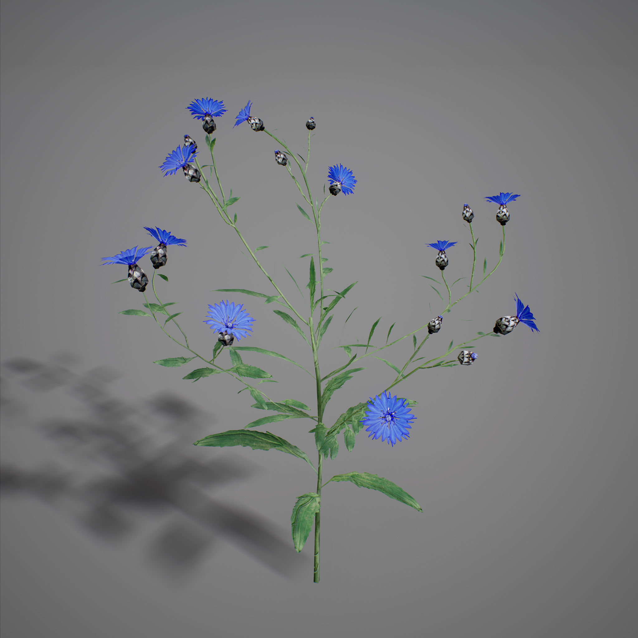 UE4 - Forest Foliage Low-poly 3D model_6