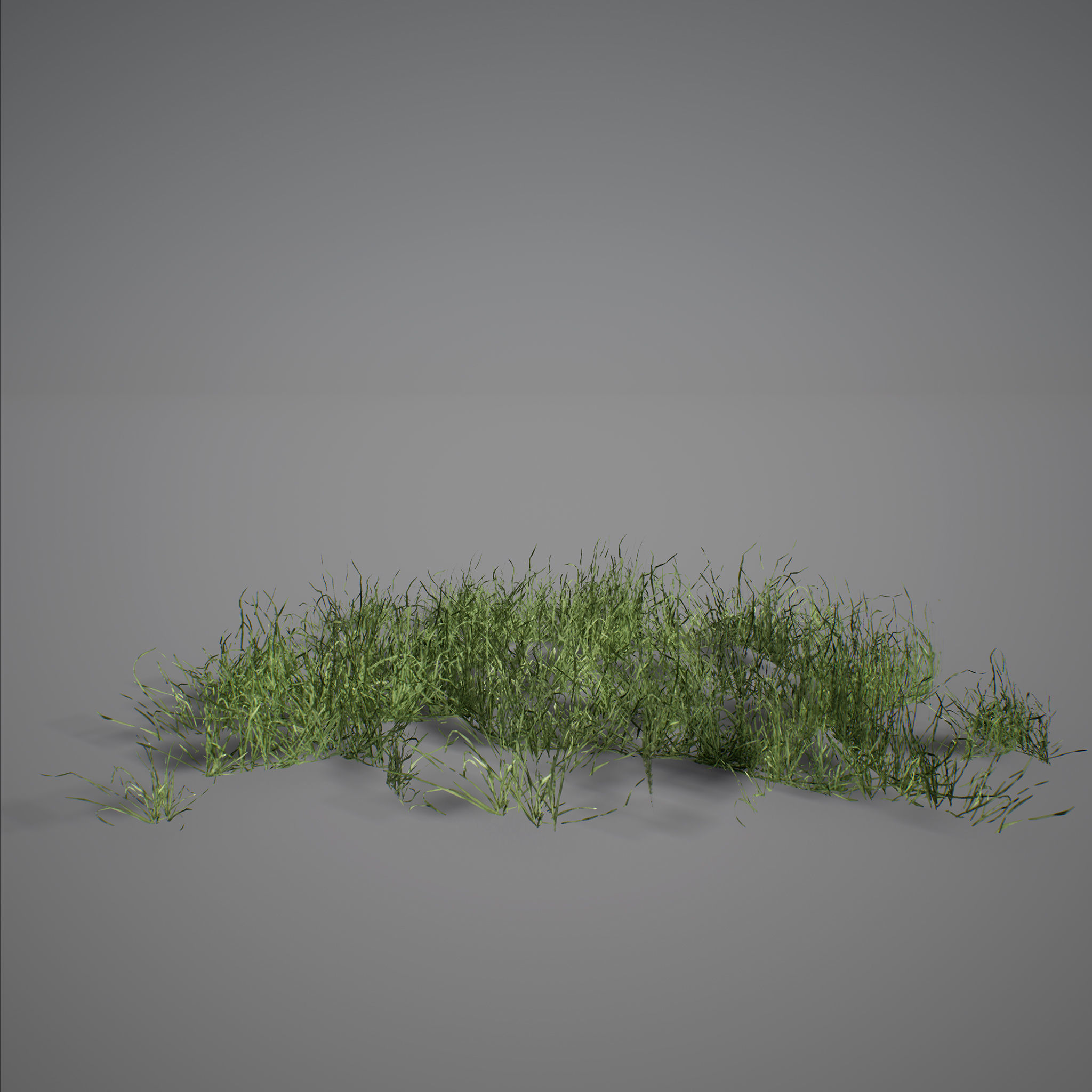 UE4 - Forest Foliage Low-poly 3D model_9