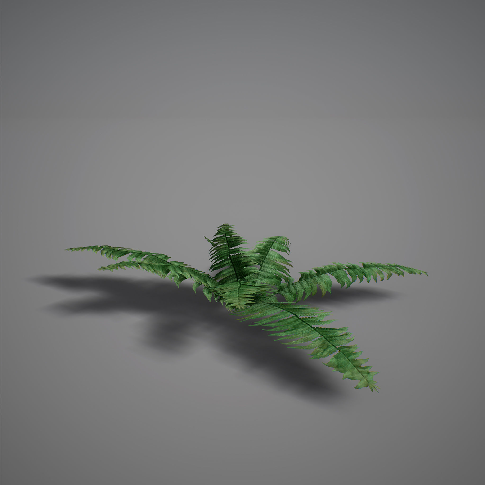 UE4 - Forest Foliage Low-poly 3D model_5