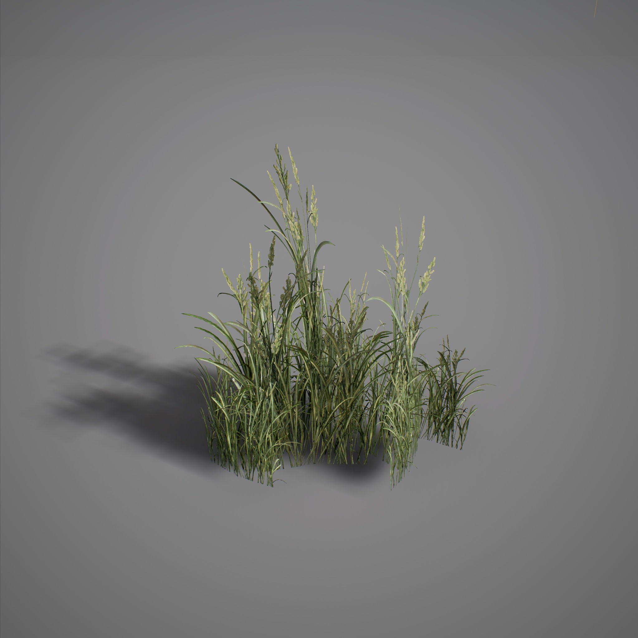 UE4 - Forest Foliage Low-poly 3D model_11