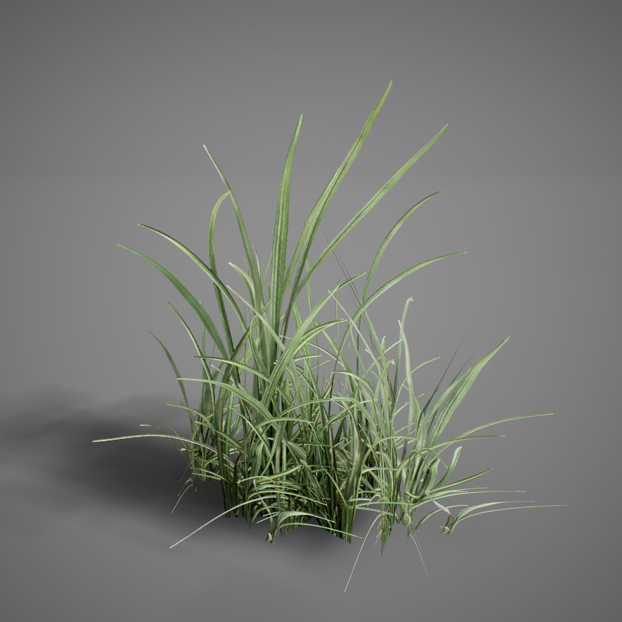 UE4 - Forest Foliage Low-poly 3D model_15