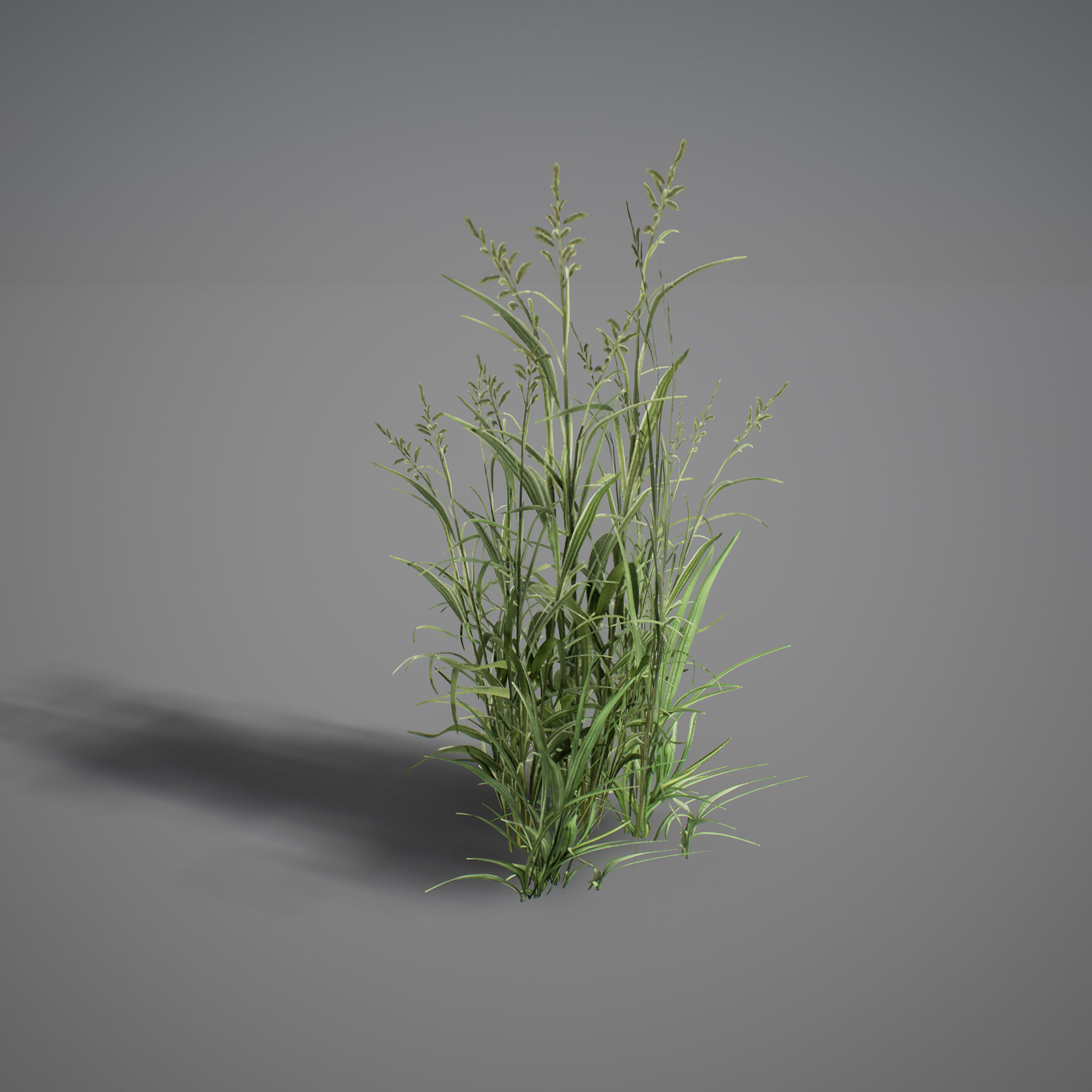 UE4 - Forest Foliage Low-poly 3D model_14