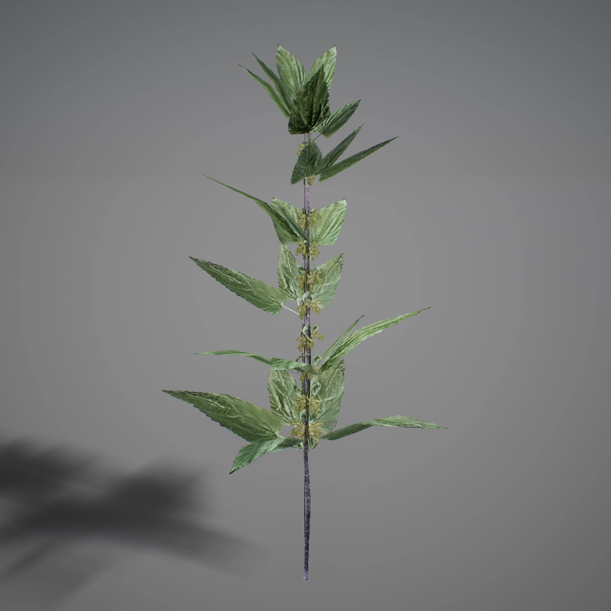 UE4 - Forest Foliage Low-poly 3D model_16