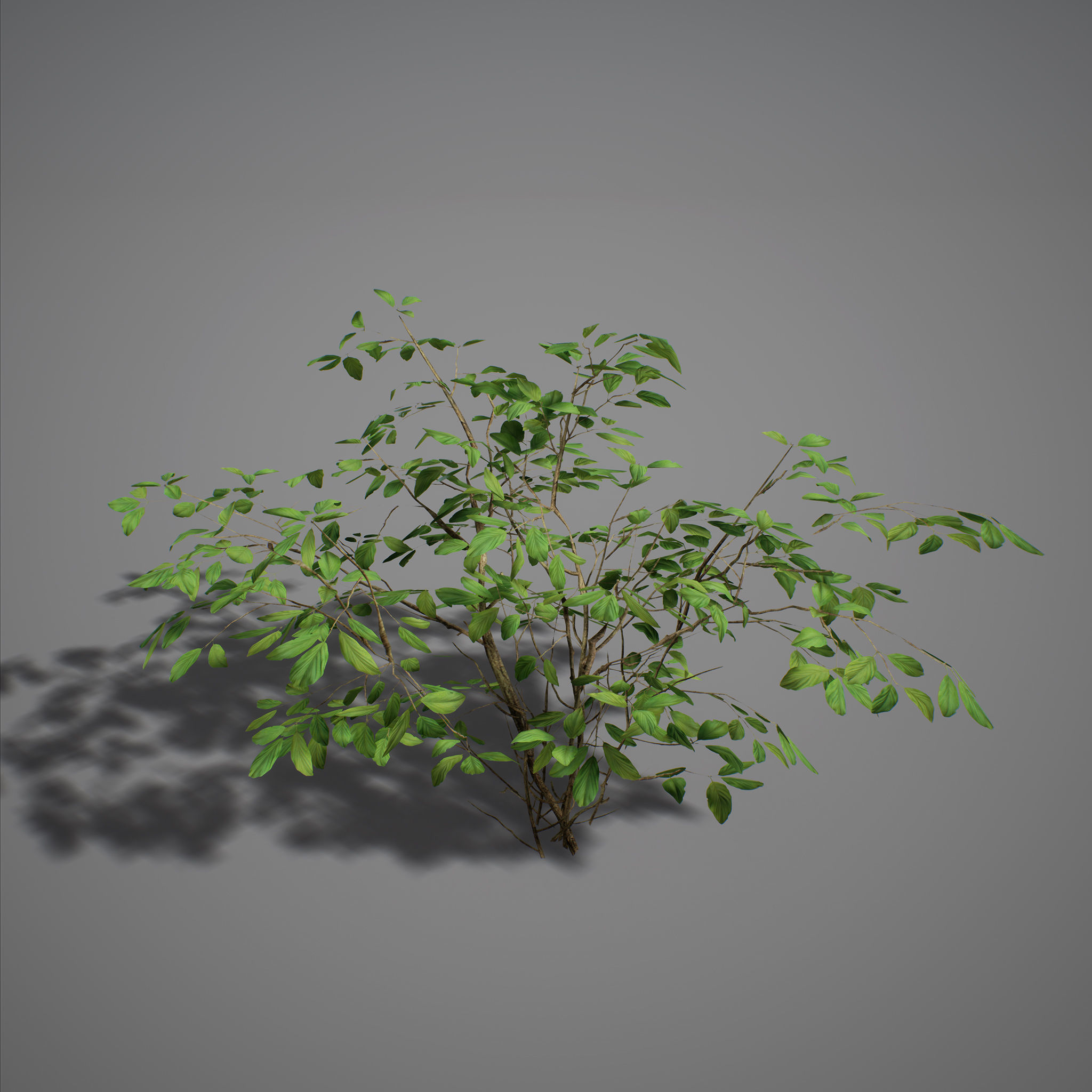 UE4 - Forest Foliage Low-poly 3D model_2
