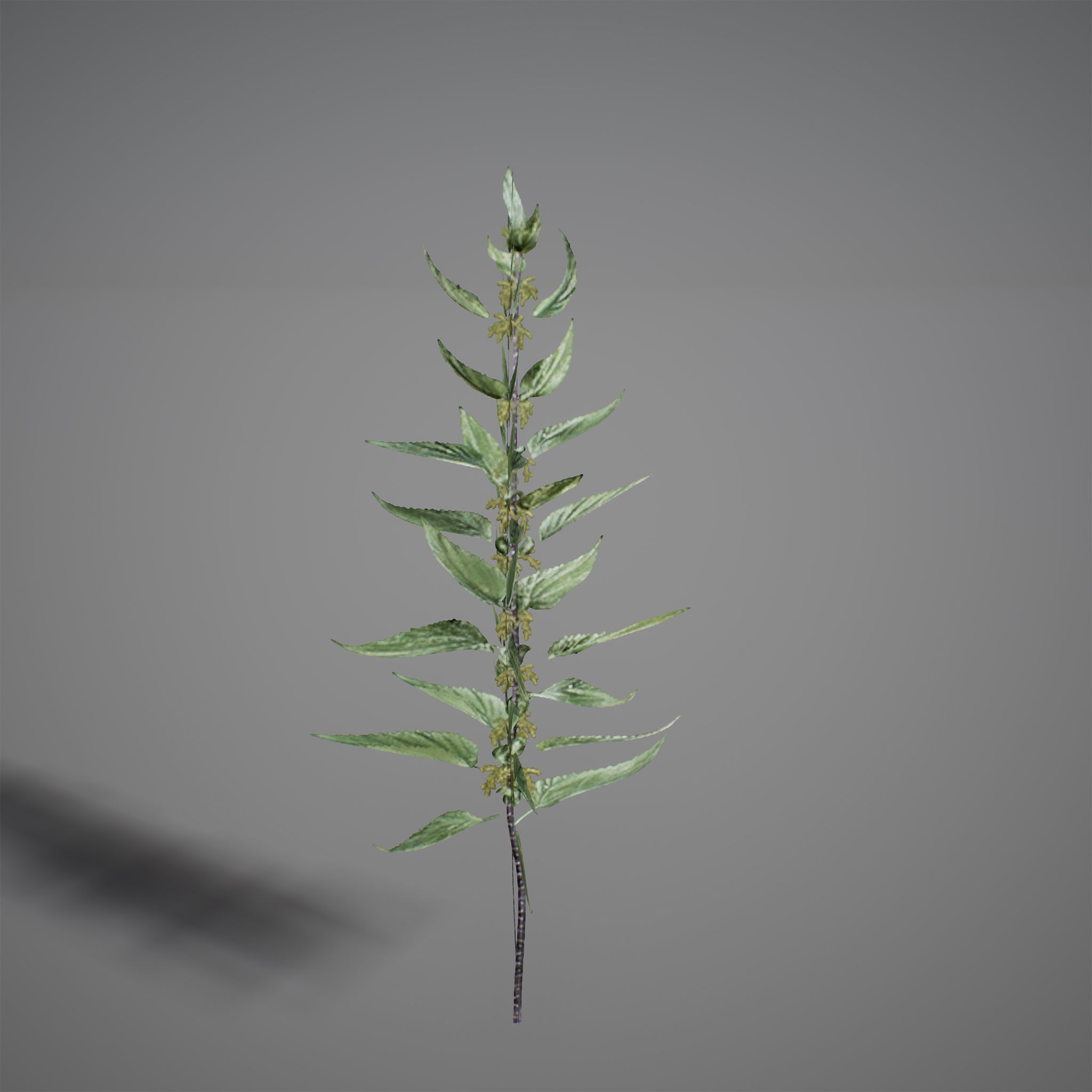 UE4 - Forest Foliage Low-poly 3D model_17