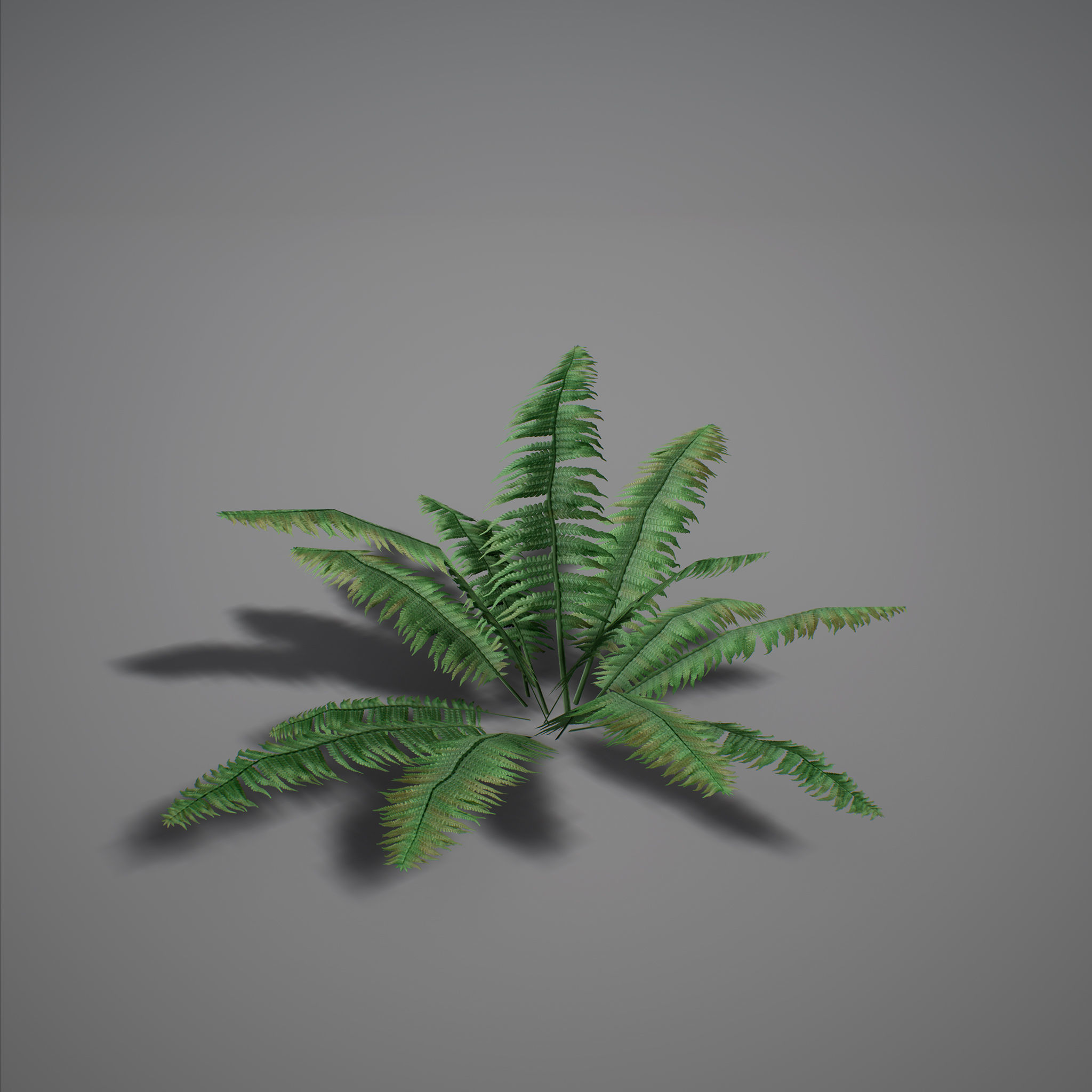 UE4 - Forest Foliage Low-poly 3D model_3