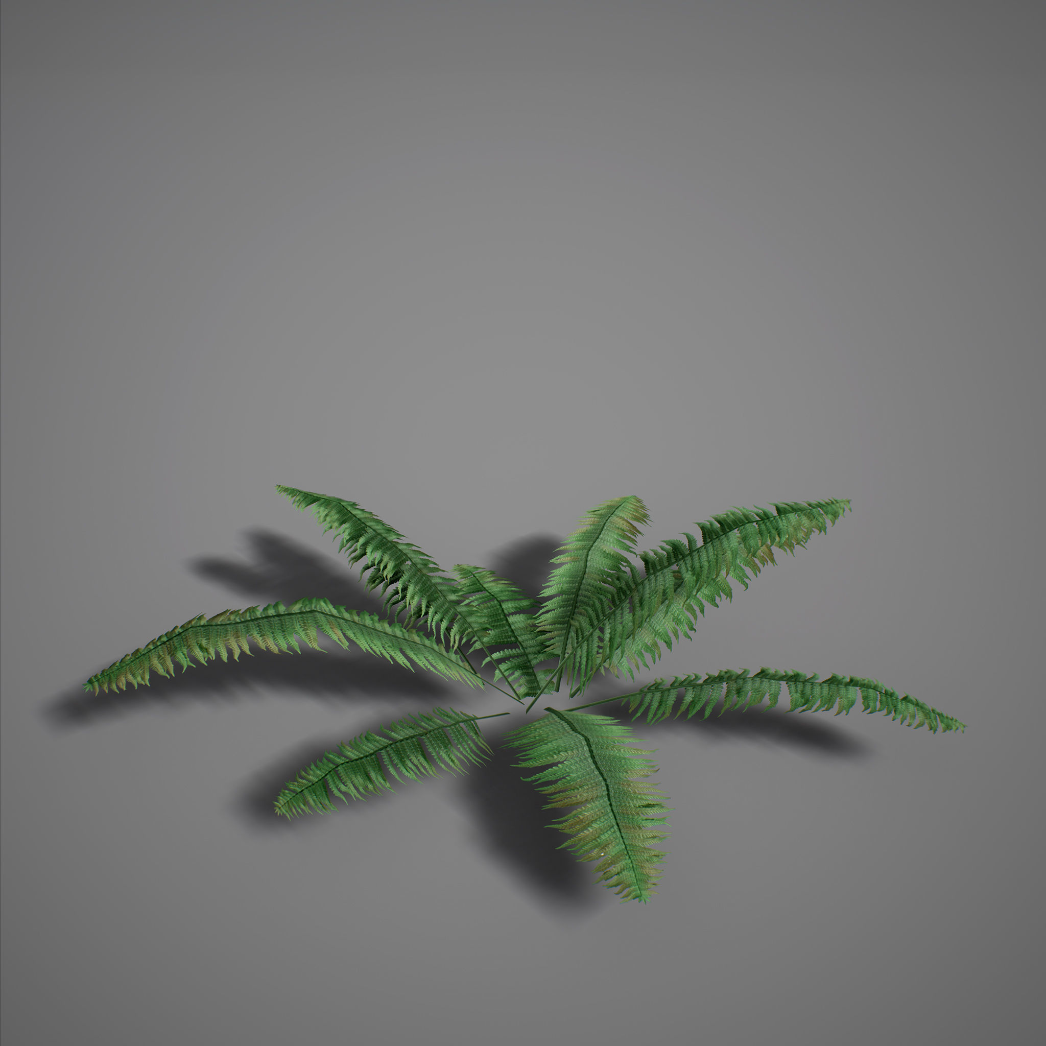 UE4 - Forest Foliage Low-poly 3D model_4