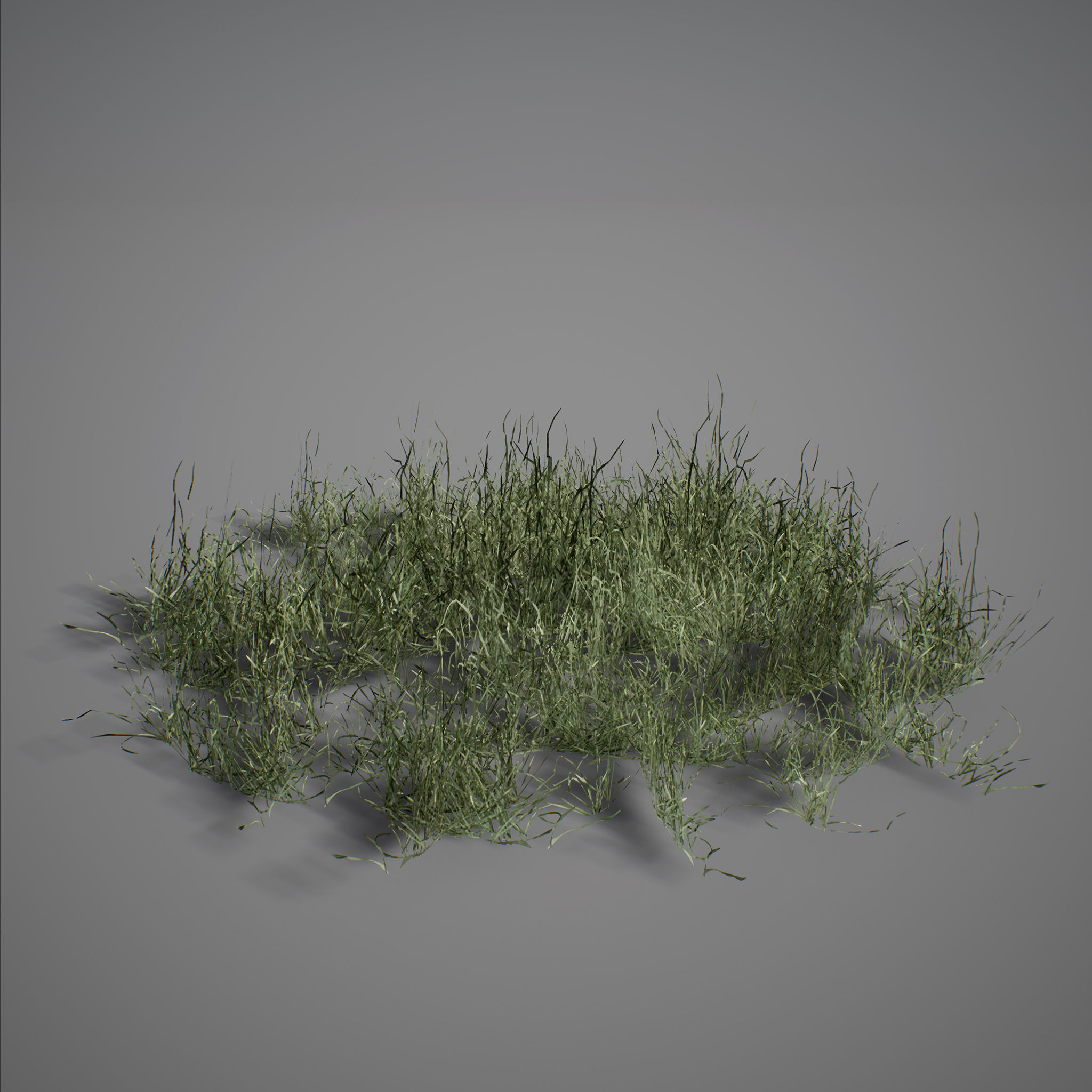UE4 - Forest Foliage Low-poly 3D model_8