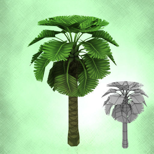 Cartoon of palm tree  Low-poly 3D model_5