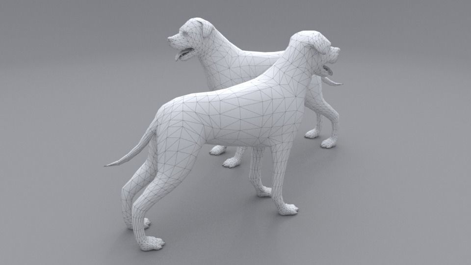 Rottweiler dog Low-poly 3D model_5