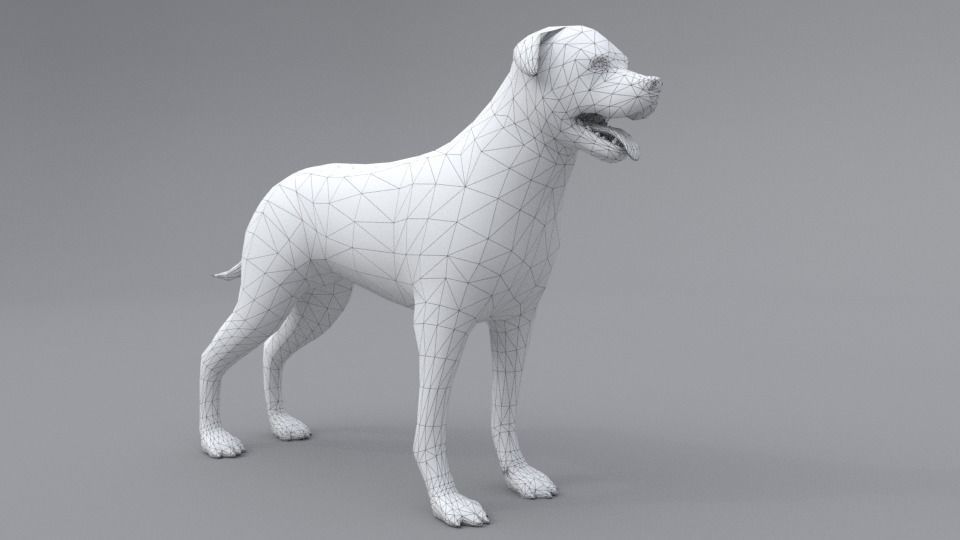 Rottweiler dog Low-poly 3D model_3