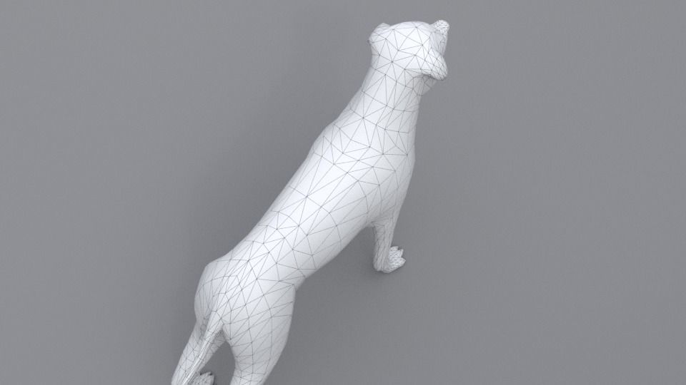 Rottweiler dog Low-poly 3D model_9