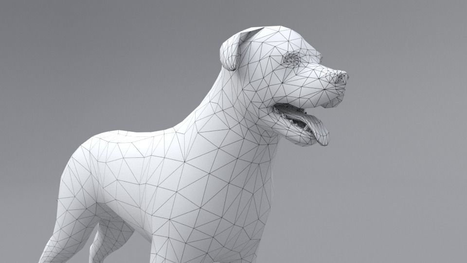 Rottweiler dog Low-poly 3D model_1