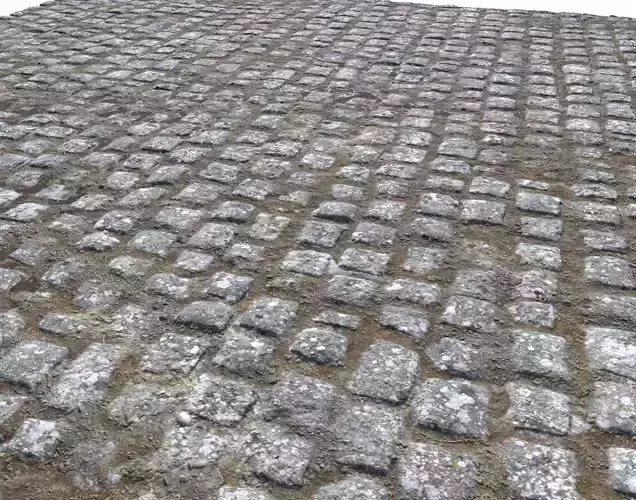 Cobblestone Road 7 PBR