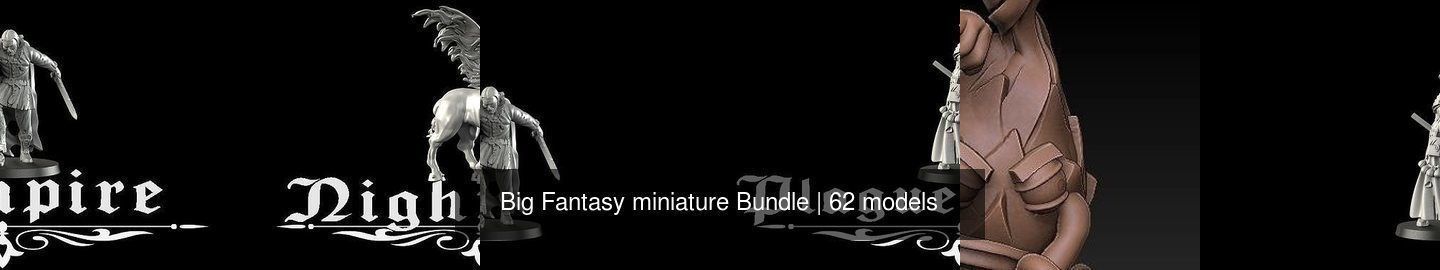 Big Fantasy miniature Bundle 3D Model Collection_246