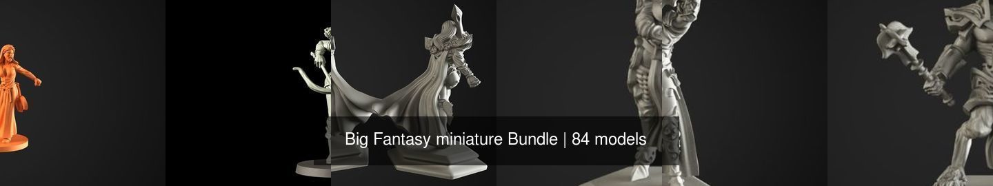 Big Fantasy miniature Bundle 3D Model Collection_70