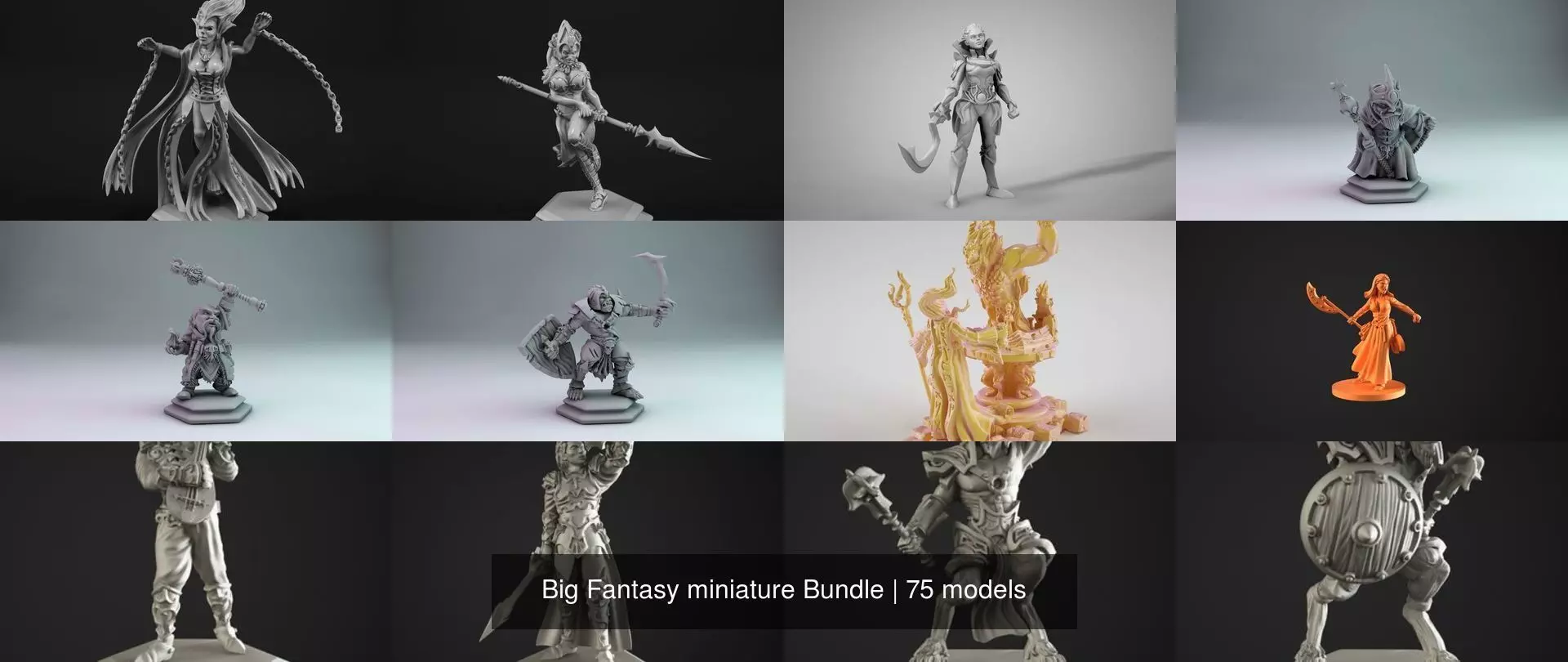 Big Fantasy miniature Bundle 3D Model Collection_31