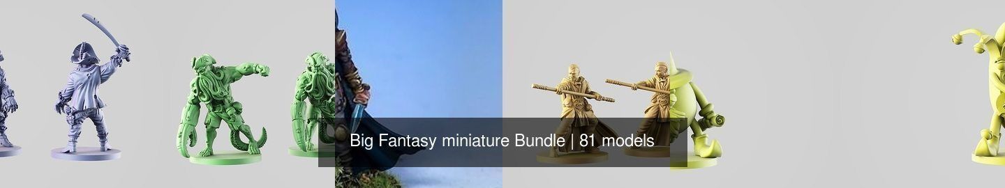 Big Fantasy miniature Bundle 3D Model Collection_125