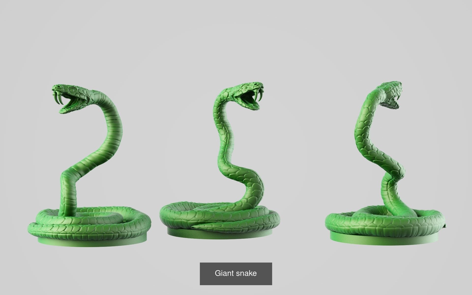 Big Fantasy miniature Bundle 3D Model Collection_346