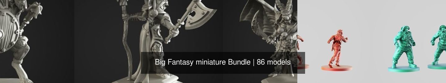 Big Fantasy miniature Bundle 3D Model Collection_114
