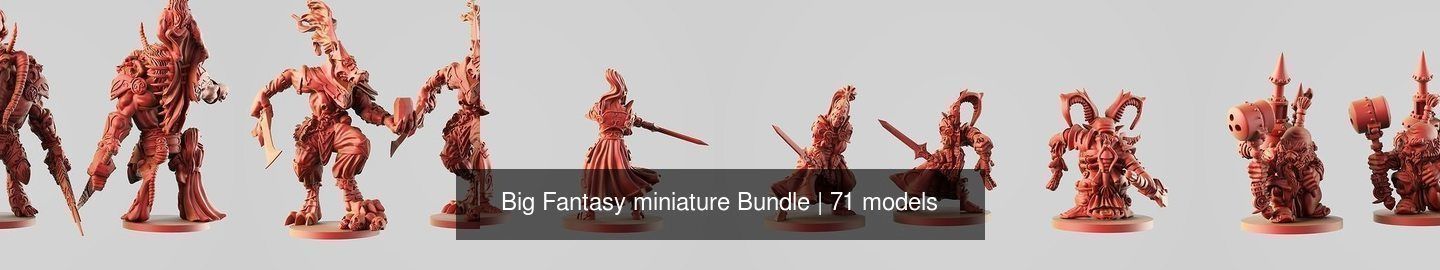 Big Fantasy miniature Bundle 3D Model Collection_141