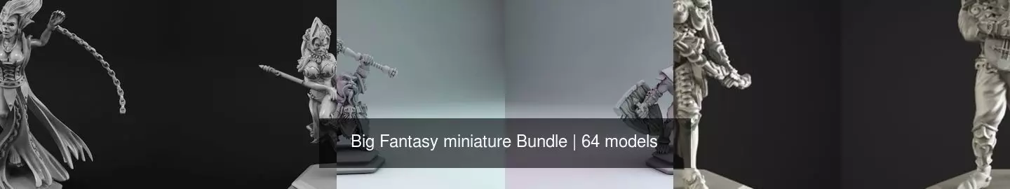 Big Fantasy miniature Bundle 3D Model Collection_46