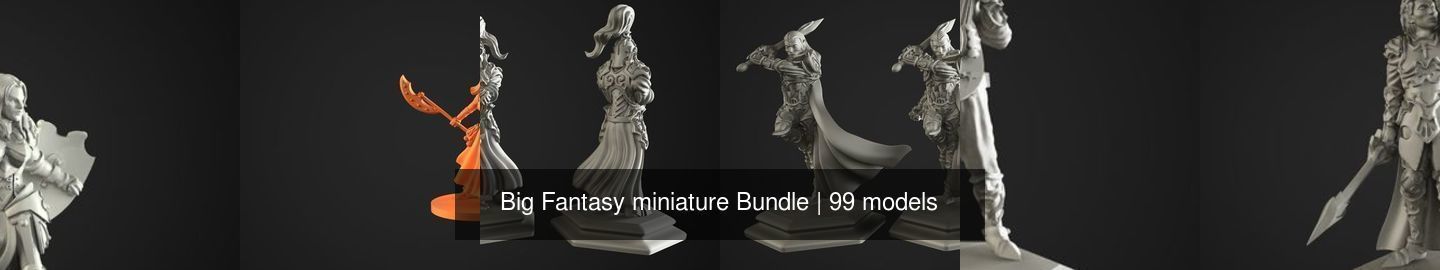 Big Fantasy miniature Bundle 3D Model Collection_104