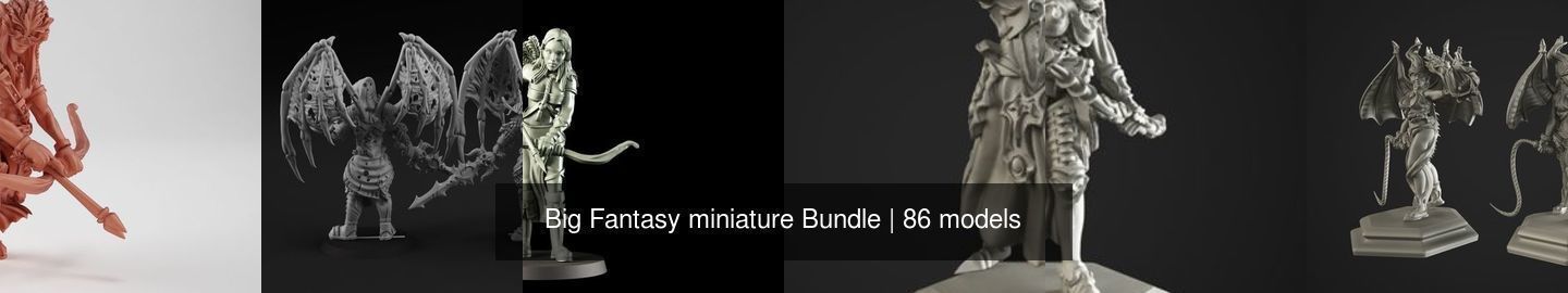 Big Fantasy miniature Bundle 3D Model Collection_67