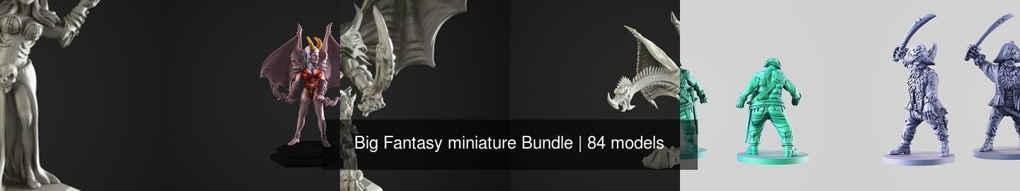 Big Fantasy miniature Bundle 3D Model Collection_116