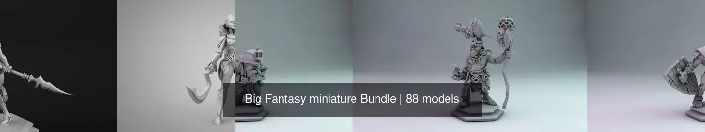 Big Fantasy miniature Bundle 3D Model Collection_18