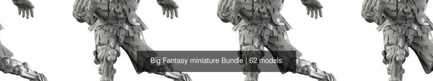 Big Fantasy miniature Bundle 3D Model Collection_249