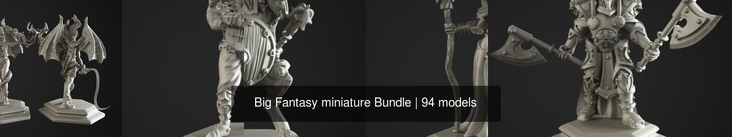 Big Fantasy miniature Bundle 3D Model Collection_109
