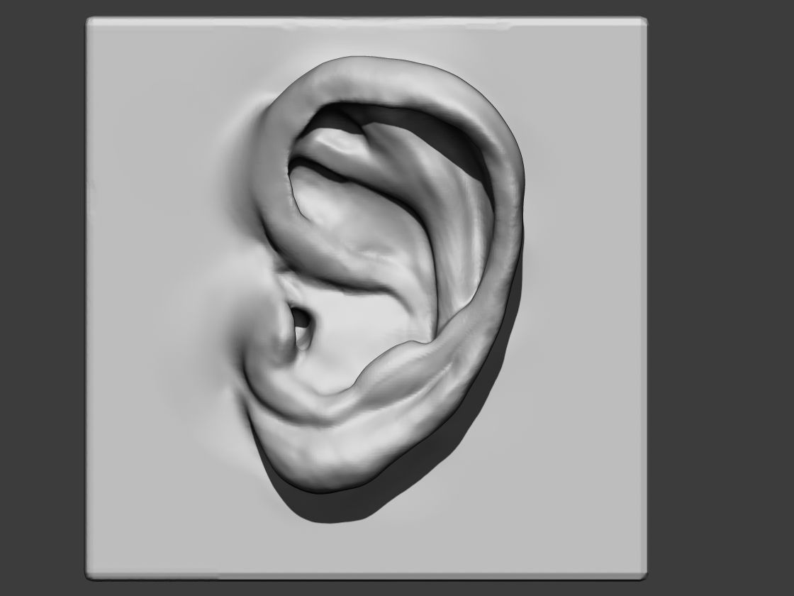 Ear clay 3D model_1