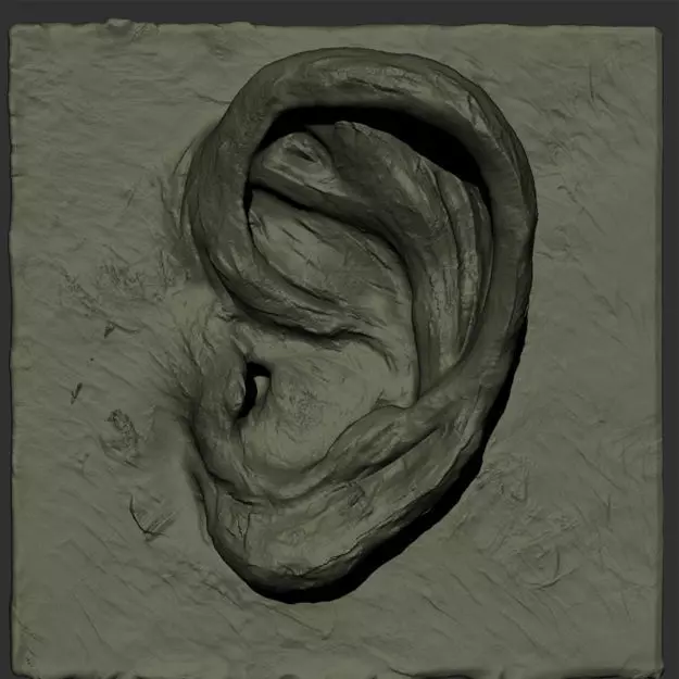 Ear clay 3D model_0