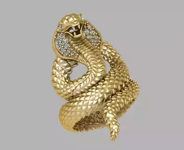 snake jewelry