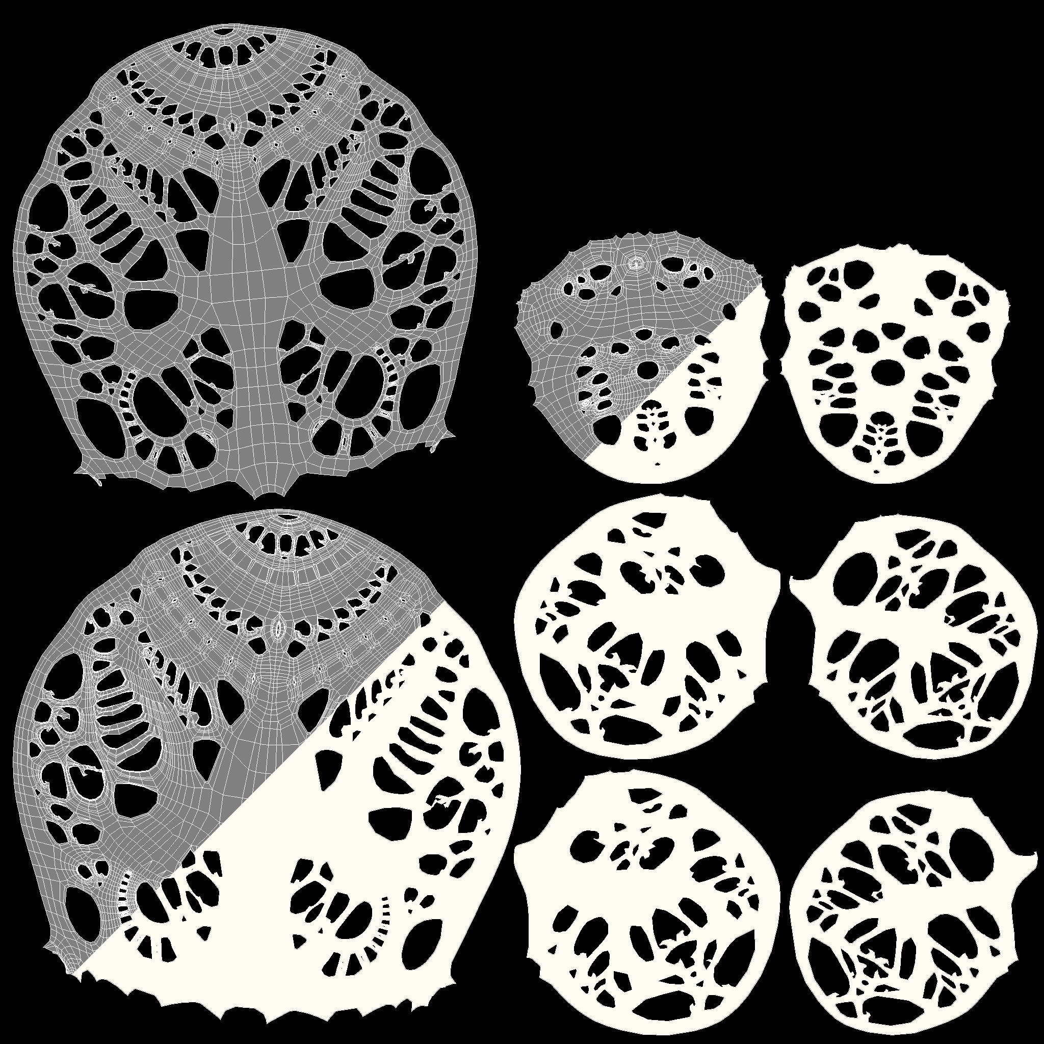 A carved cow skull 3D model_21