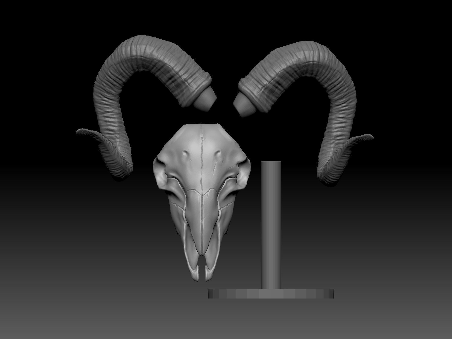 Goat Skull for 3D printing 3D print model_1
