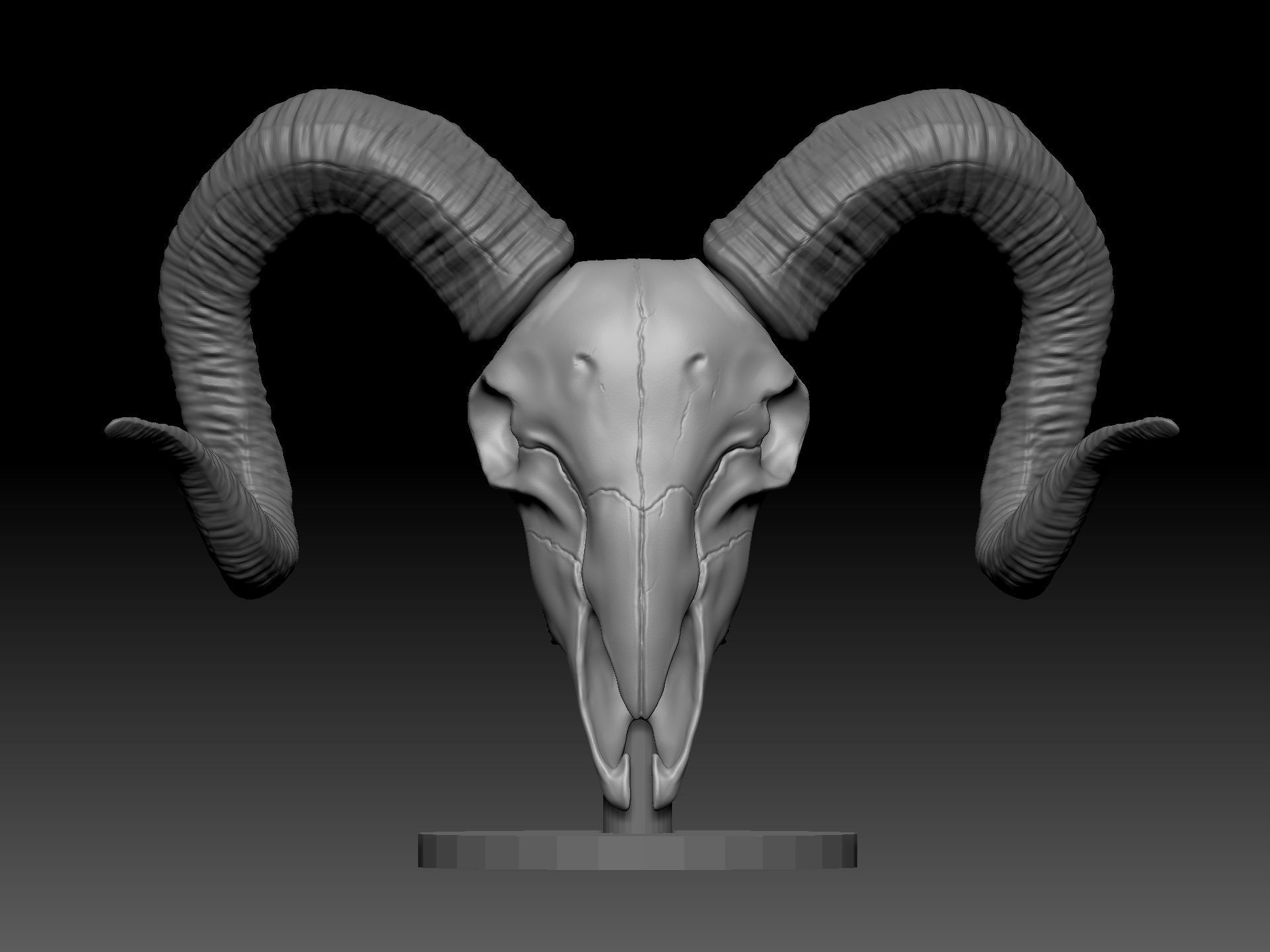 Goat Skull for 3D printing 3D print model_2