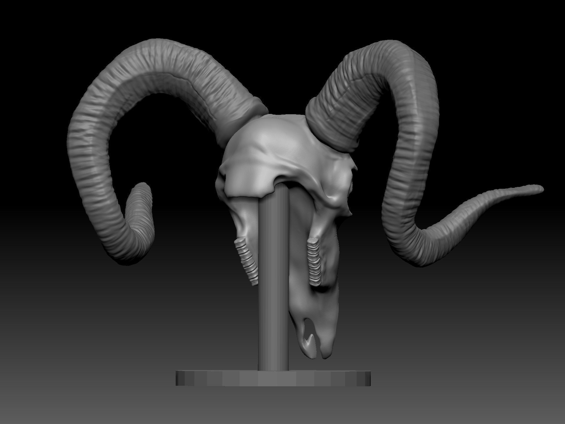 Goat Skull for 3D printing 3D print model_3