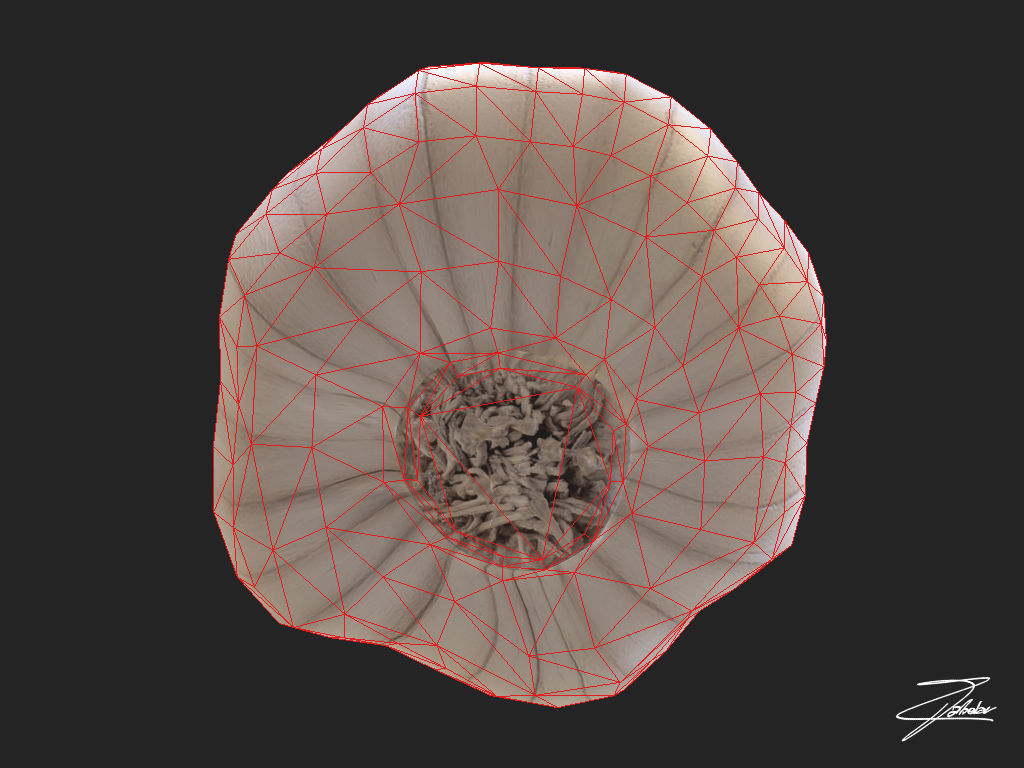 Garlic Low-poly 3D model_6