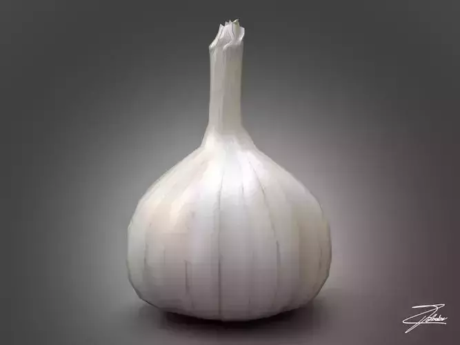 Garlic