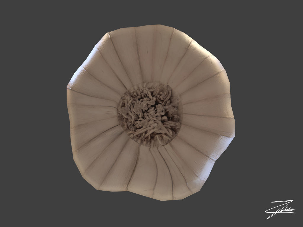 Garlic Low-poly 3D model_4