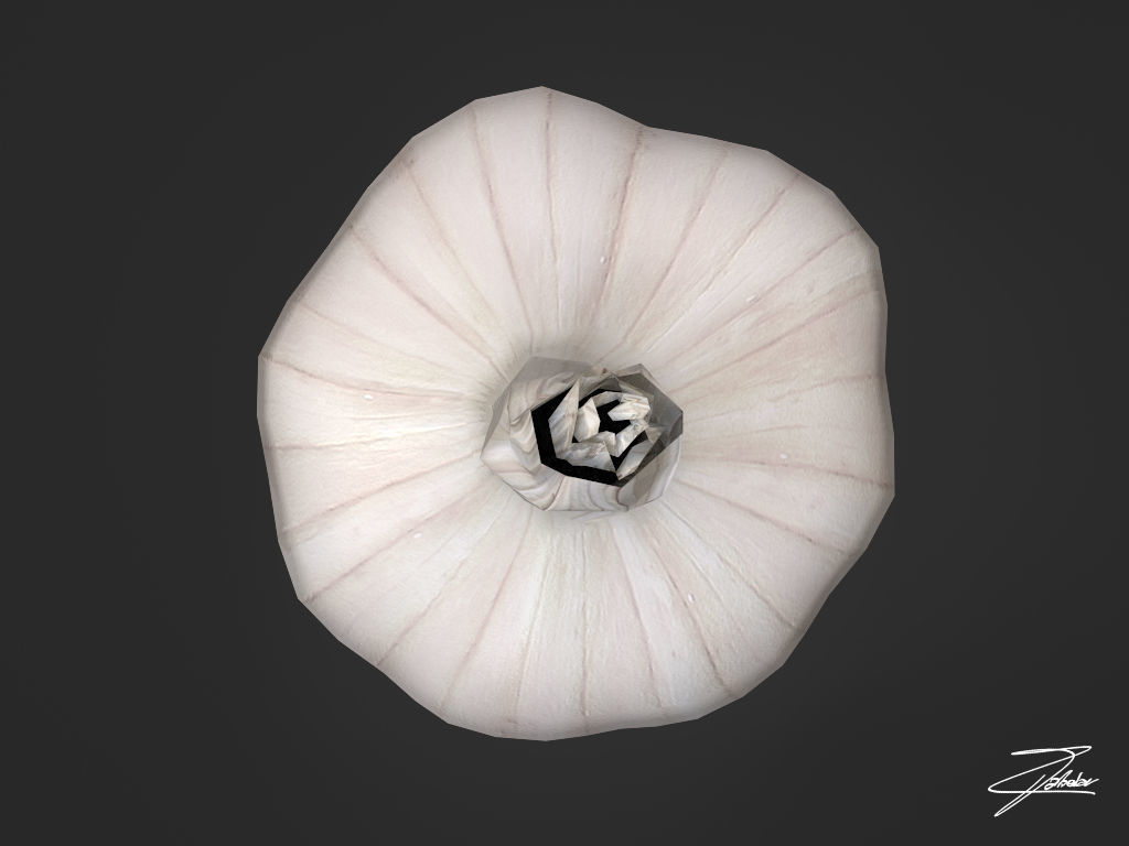 Garlic Low-poly 3D model_2